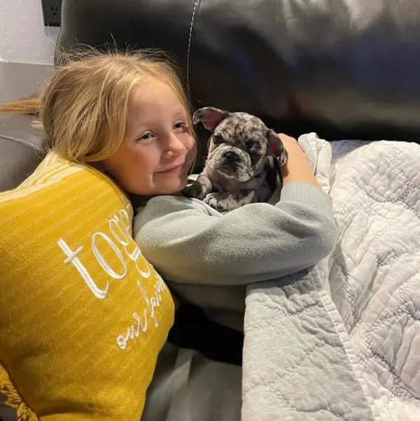 A French Bulldog puppy from Showtime Pups with its new family