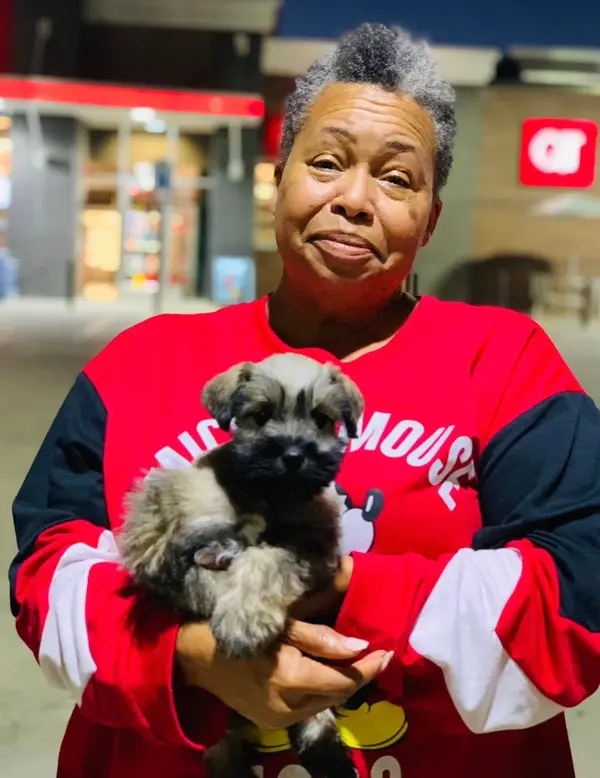 A Showtime Pups puppy with its new family