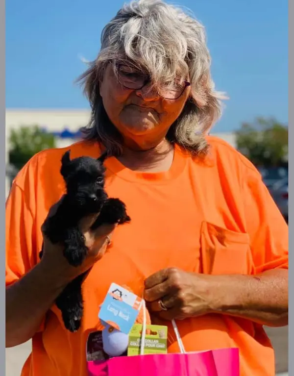 A Showtime Pups puppy with its new family