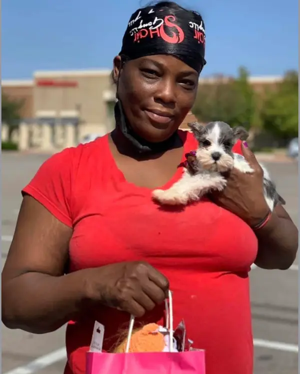 A Showtime Pups puppy with its new family