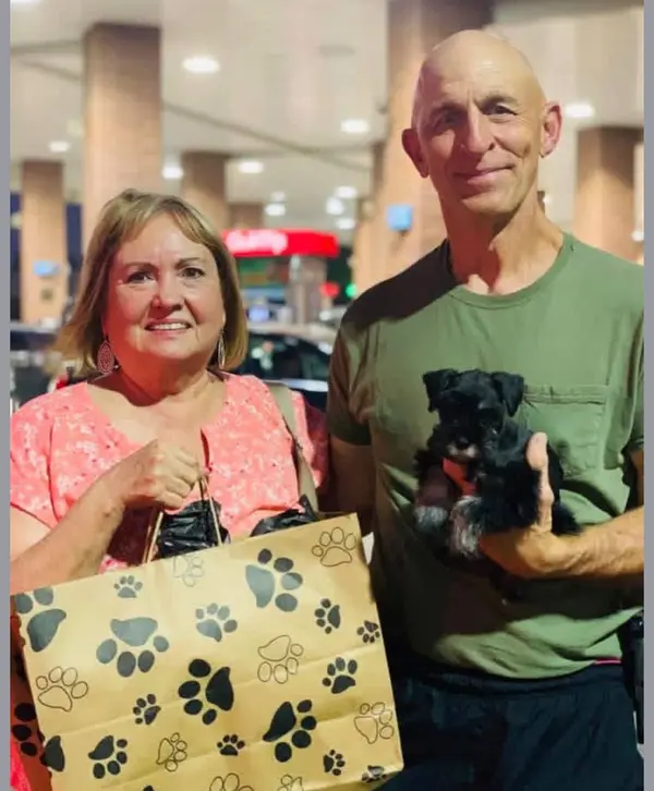 A Showtime Pups puppy with its new family