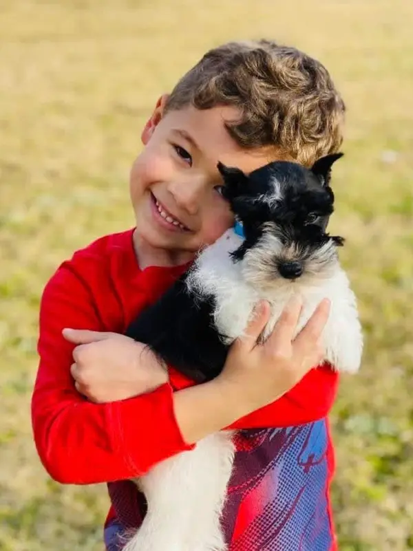 A Showtime Pups puppy with its new family