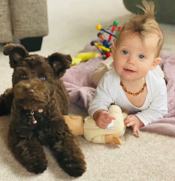 A Showtime Pups puppy with its new family