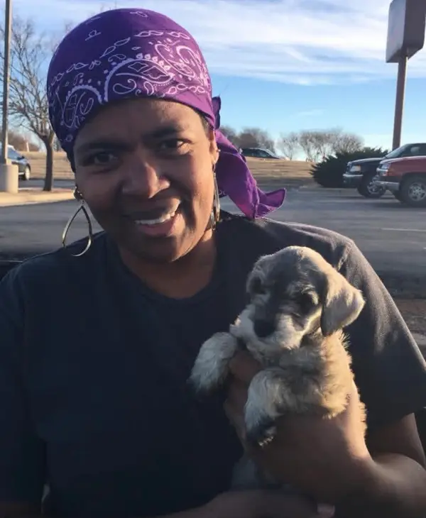 A Showtime Pups puppy with its new family