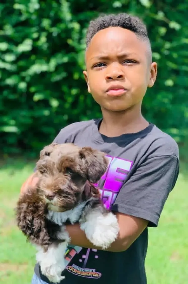 A Showtime Pups puppy with its new family