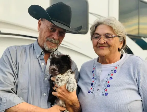 A Showtime Pups puppy with its new family