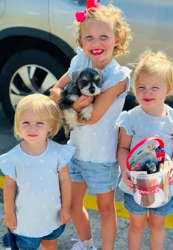 A Showtime Pups puppy with its new family