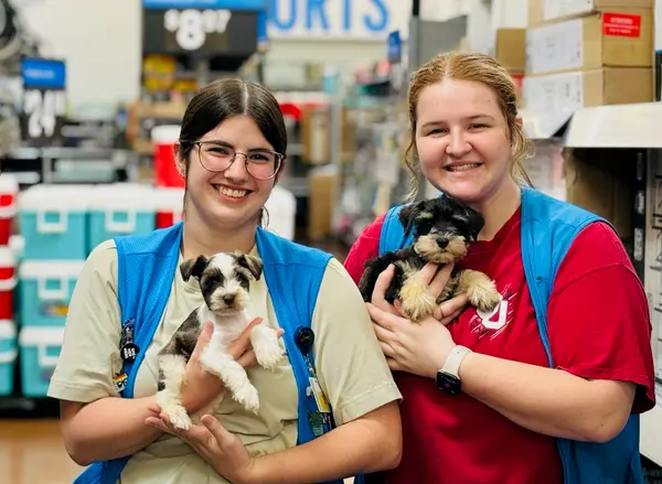 A Showtime Pups puppy with its new family