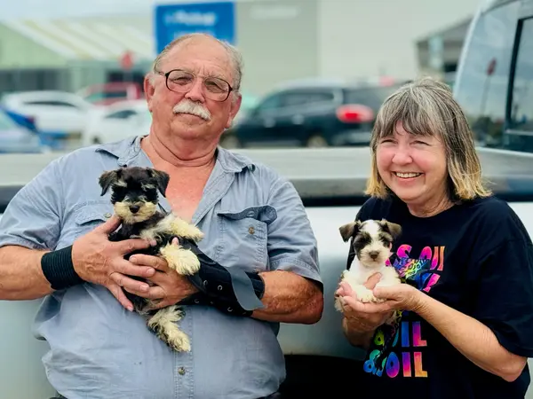 A Showtime Pups puppy with its new family