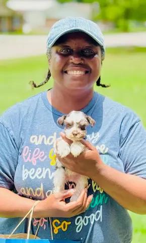 A Showtime Pups puppy with its new family